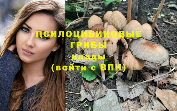 круглые Саяногорск