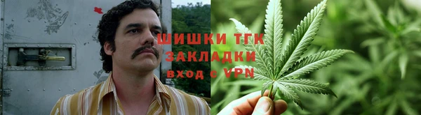 ПСИЛОЦИБИНОВЫЕ ГРИБЫ Сафоново