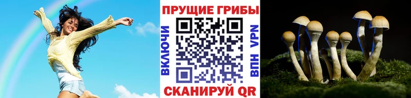 Псилоцибиновые грибы мицелий  Калининск 